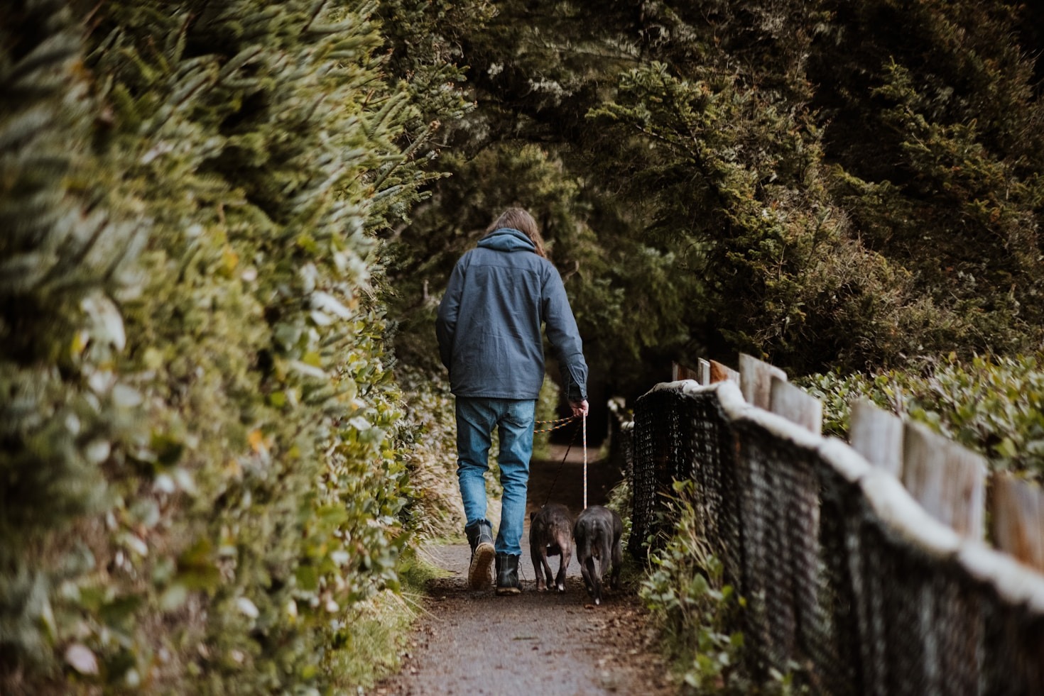 A Photographic Journey with Trooper